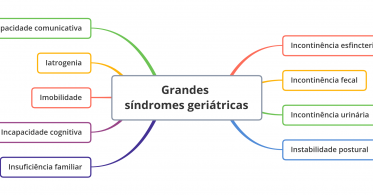 Grandes síndromes geriátricas